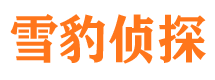 昌江市私人侦探